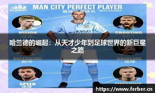安信12