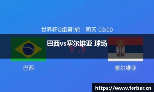 巴西vs塞尔维亚 球场