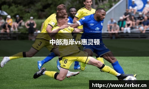中部海岸vs惠灵顿