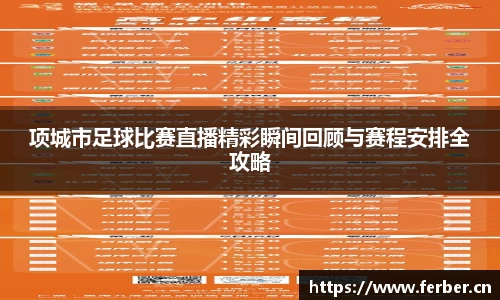 项城市足球比赛直播精彩瞬间回顾与赛程安排全攻略