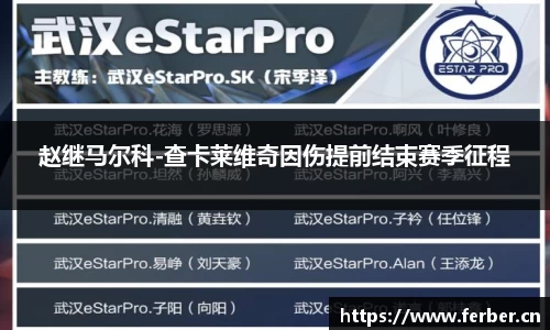赵继马尔科-查卡莱维奇因伤提前结束赛季征程